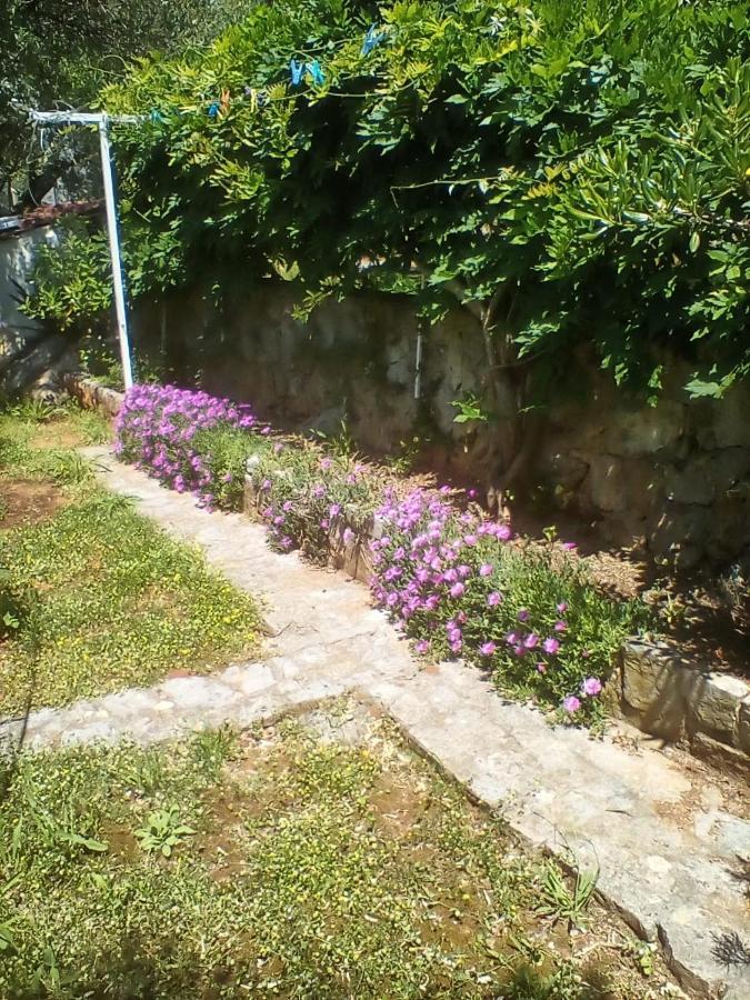 Apartman-Maja-Krk Đảo Krk Ngoại thất bức ảnh